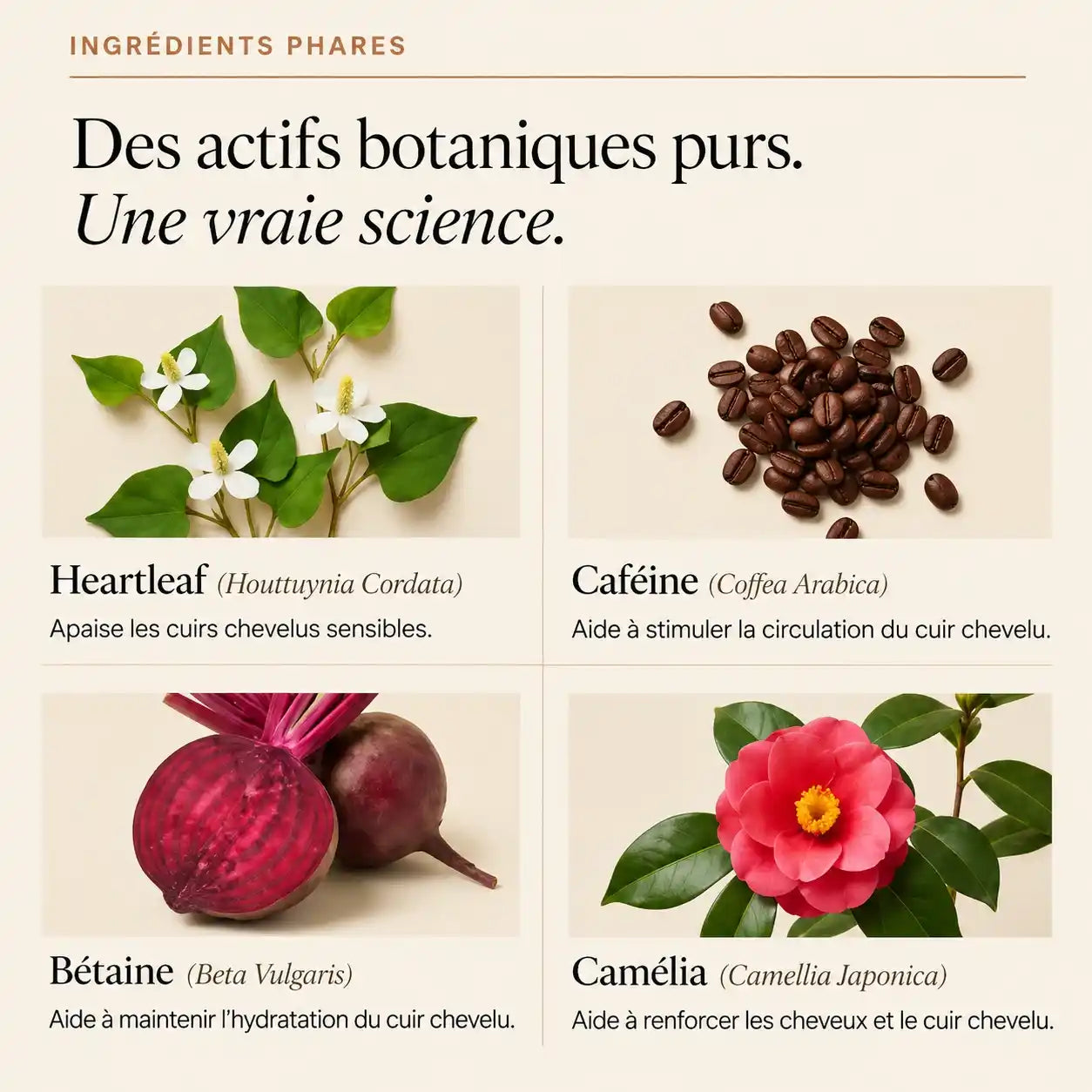 Sérum Capillaire Kavira Coréen N°1